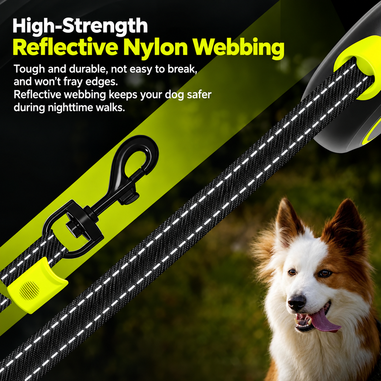 Retractable leash - Image 3
