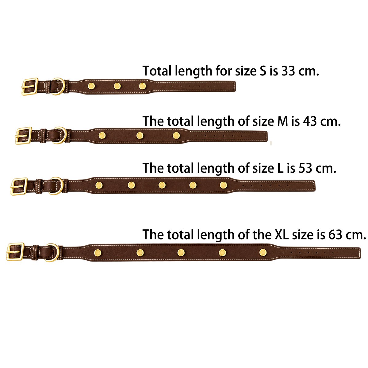 GZ5A8452 - Image 2